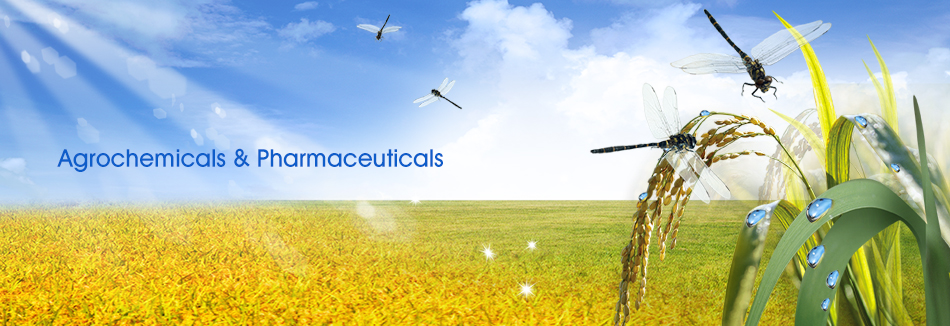 Agrochemicals & Pharmaceuticals